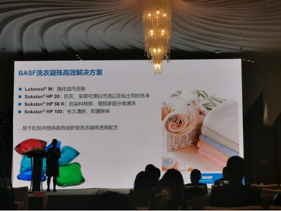 CIMP 2019