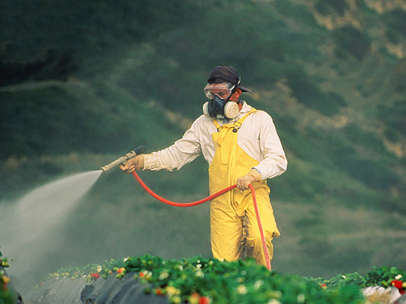 Pharmaceutical & Pesticide
