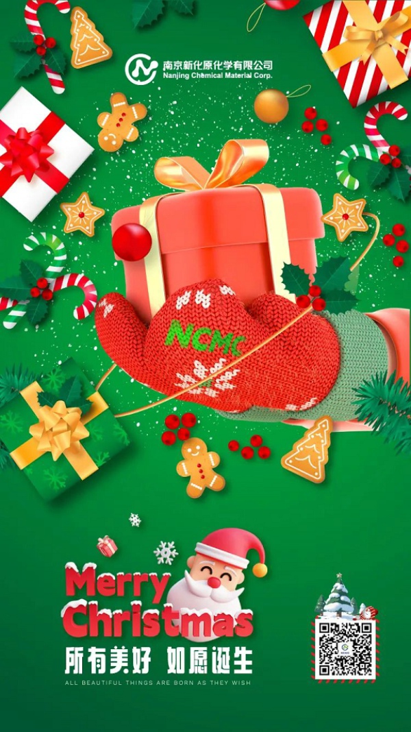 Merry Christmas
